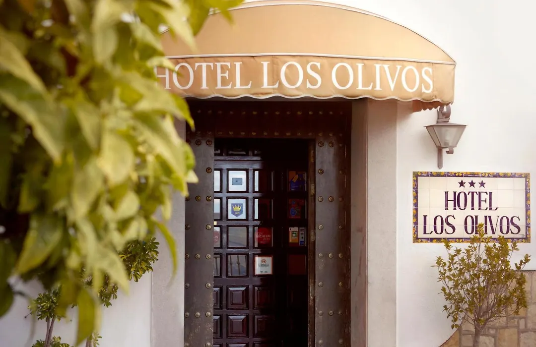 Hotel Los Olivos-1